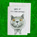 British Blue Cat funny Birthday Card: Handcrafted A6 Greeting Card