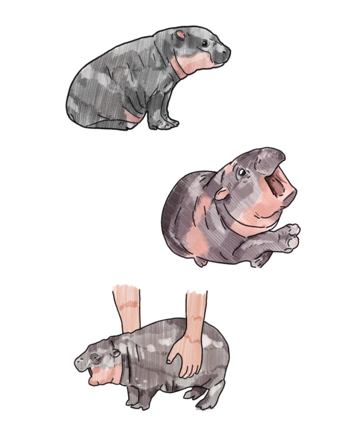 Baby Hippo Mood | Moo Deng | Handcrafted Greeting Card