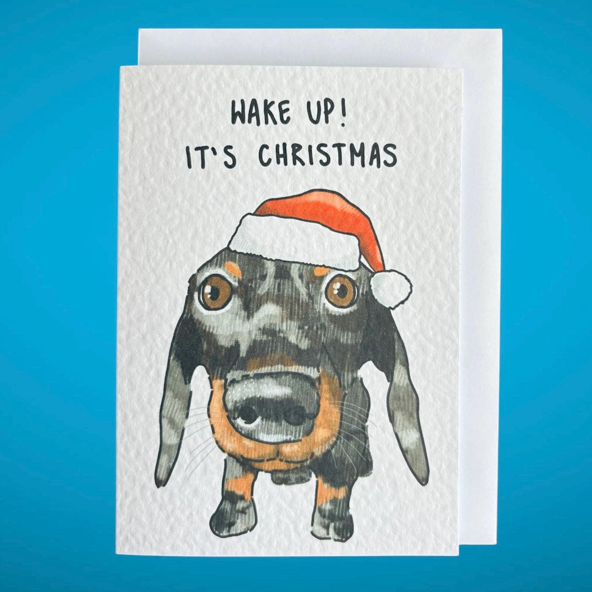 Sausage Dog (Dachshund) | In Ya Face Christmas Card