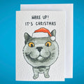 British Blue Cat Funny Christmas Card: Handcrafted A6 Greeting Card
