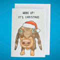 Sausage Dog (Dachshund) | In Ya Face Christmas Card
