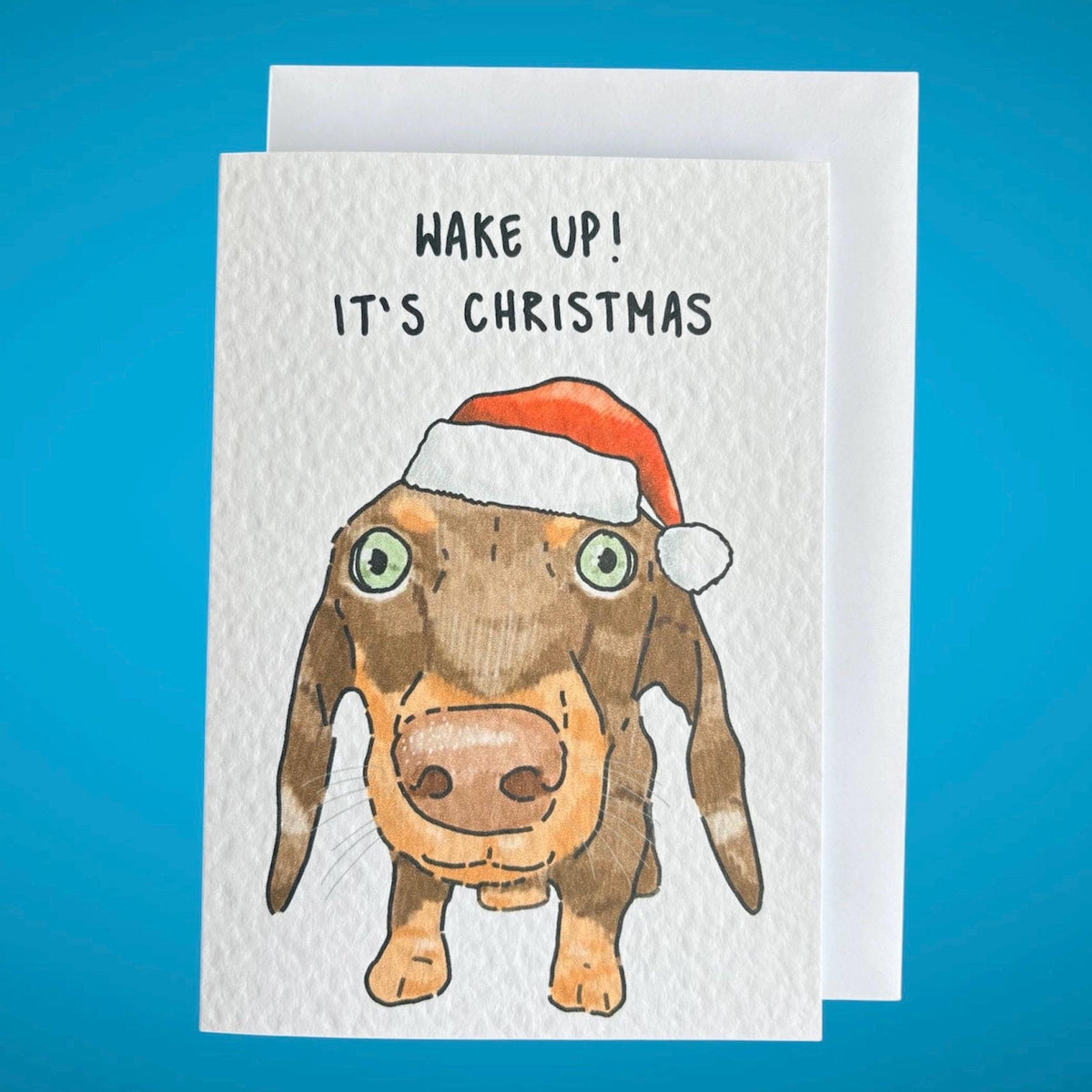 Sausage Dog (Dachshund) | In Ya Face Christmas Card