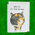 Tortoise Shell Cat Funny Birthday Card: Handcrafted A6 Greeting Card