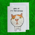 White and Ginger Cat Funny Birthday Card: Handcrafted A6 Greeting Card
