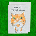 Ginger and White Shell Cat Funny Birthday Card: Handcrafted A6 Greeting Card