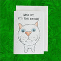 White Cat Funny Birthday Card: Handcrafted A6 Greeting Card